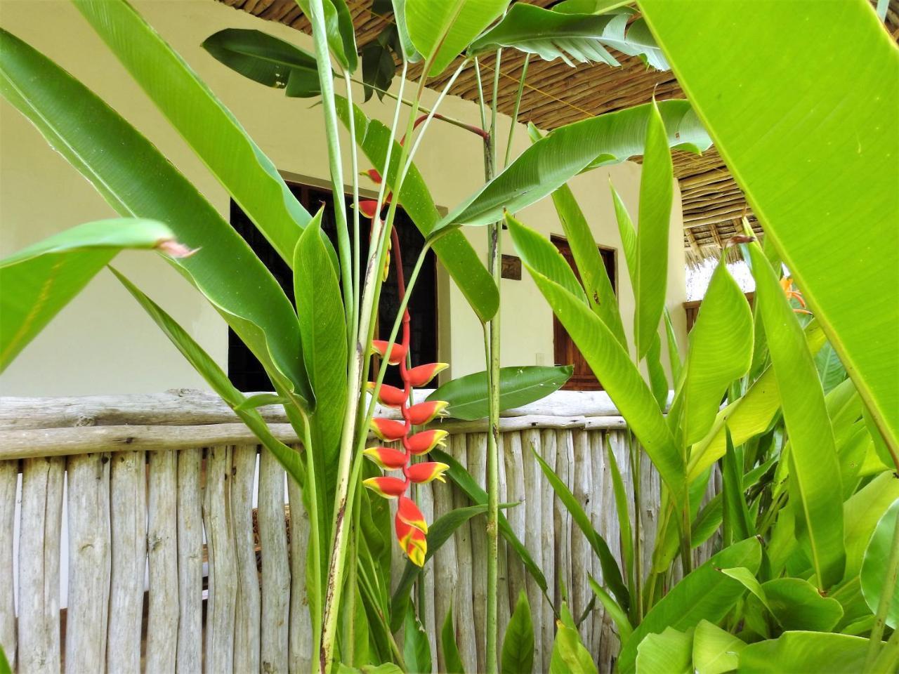 Sheba Cottages - Praia de Diani Exterior foto